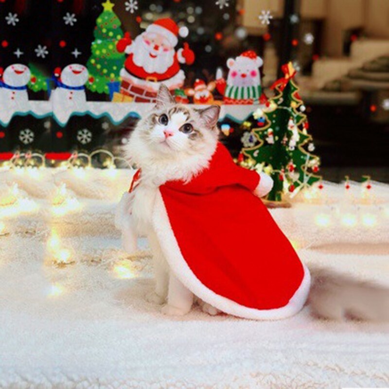 christmas dress cats I Waited a Year to Model This Holiday Dress